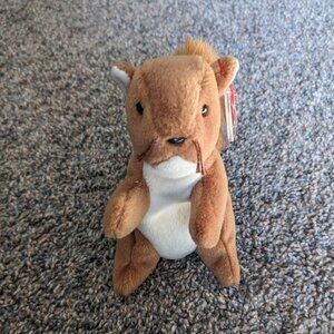 TY Beanie Baby Nuts NWT